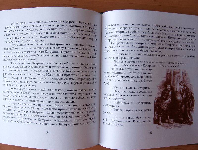 Иллюстрация 39 из 73 для Удивительные сюжеты Шекспира - Эдит Несбит | Лабиринт - книги. Источник: Red cat ;)