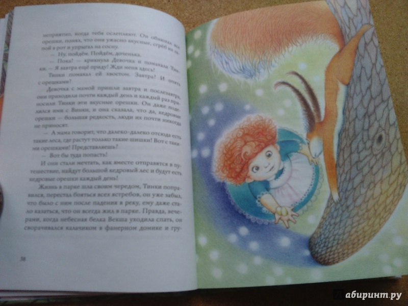 Иллюстрация 48 из 85 для Бельчонок Тинки - Тамара Михеева | Лабиринт - книги. Источник: Ольга