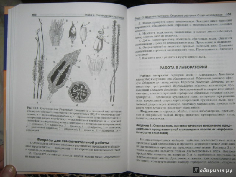 Иллюстрация 17 из 19 для Ботаника. Руководство к практическим занятиям - Барабанов, Зайчикова | Лабиринт - книги. Источник: Евгения39