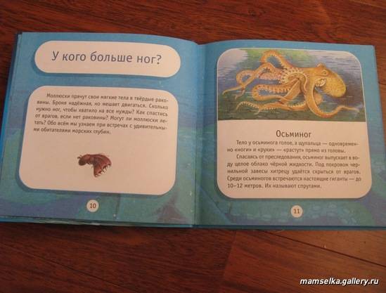 Иллюстрация 16 из 18 для Про моря и океаны. Моя первая книга о животных - Александр Тихонов | Лабиринт - книги. Источник: mamselka