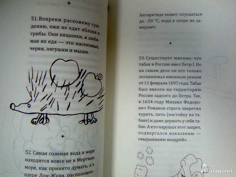 Иллюстрация 14 из 25 для Самая нужная книга о самых известных заблуждениях - Юлия Хазанова | Лабиринт - книги. Источник: Салус