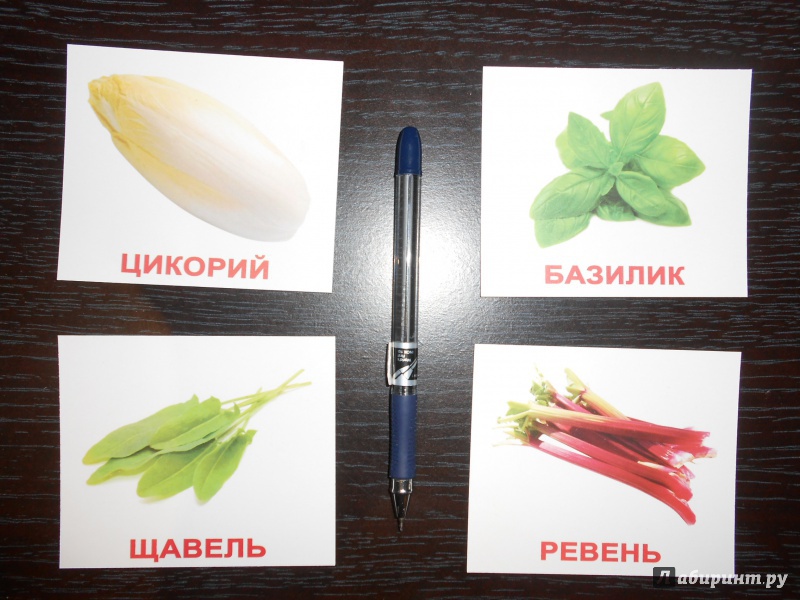 Иллюстрация 4 из 12 для Комплект мини-карточек "Vegetables/Овощи" (40 штук) - Носова, Епанова | Лабиринт - игрушки. Источник: EksiKas