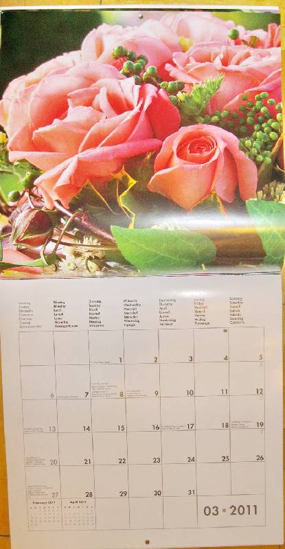 Иллюстрация 4 из 4 для Календарь 2011 "Цветы" (4440-3) | Лабиринт - сувениры. Источник: Мила1122