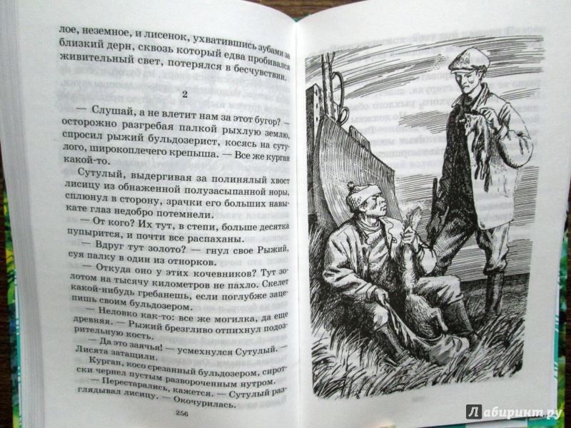 Иллюстрация 12 из 13 для Живая душа - Л. Трутнев | Лабиринт - книги. Источник: Зеленая шляпа