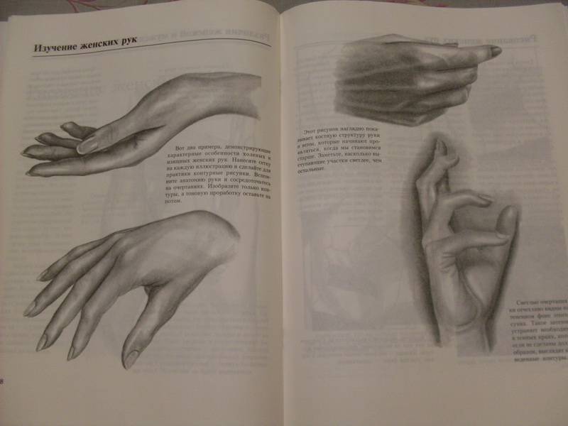 Иллюстрация 5 из 12 для Учимся рисовать руки - Ли Хэммонд | Лабиринт - книги. Источник: rialcat