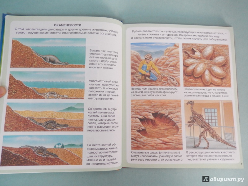 Иллюстрация 11 из 58 для Миллион лет до нашей эры - Эмили Бомон | Лабиринт - книги. Источник: dbyyb