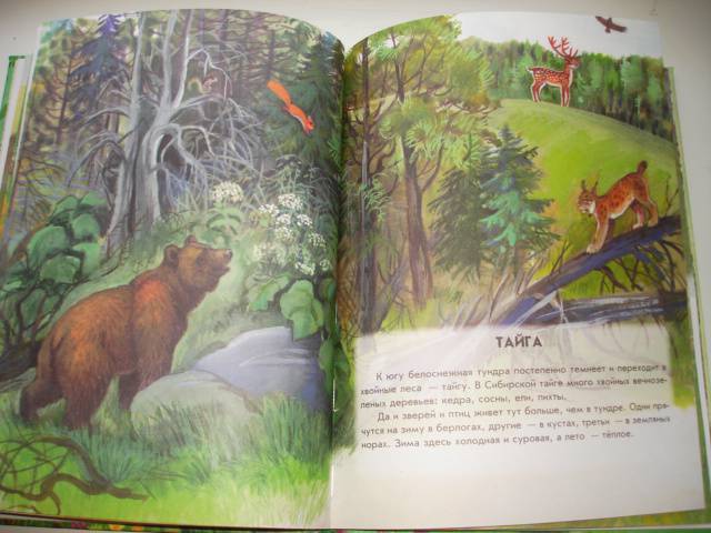 Иллюстрация 23 из 40 для Азбука живой природы - Александр Барков | Лабиринт - книги. Источник: Осьминожка