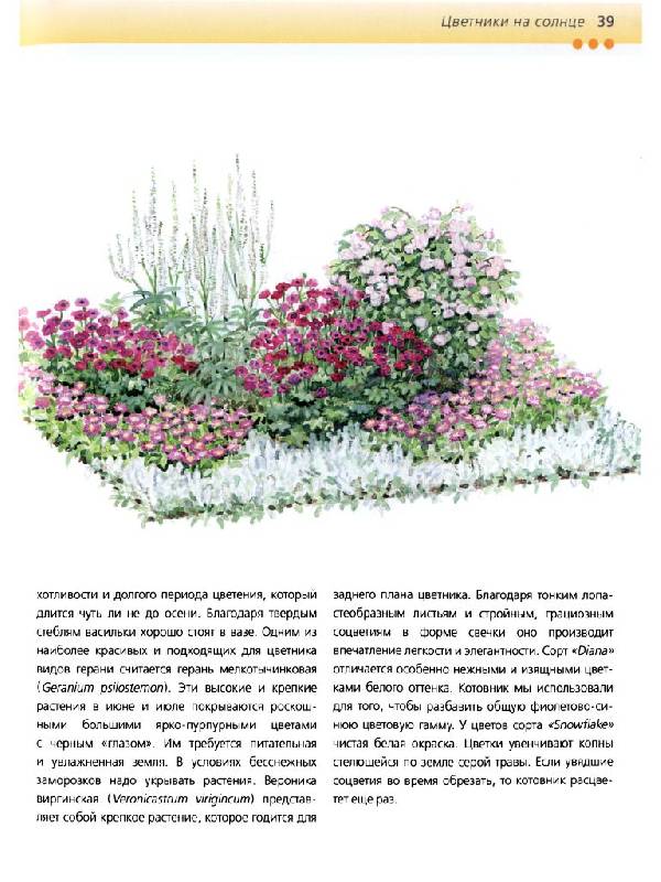 Иллюстрация 10 из 35 для Красивые цветники в вашем саду - Хельга Гроппер | Лабиринт - книги. Источник: lexus