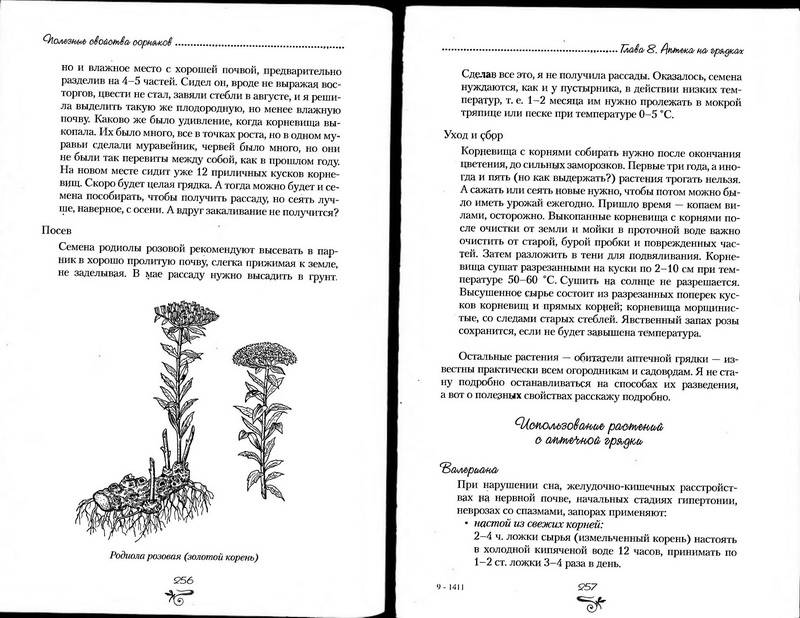 Иллюстрация 23 из 38 для Полезные свойства сорняков - Нелли Кислова | Лабиринт - книги. Источник: Ялина