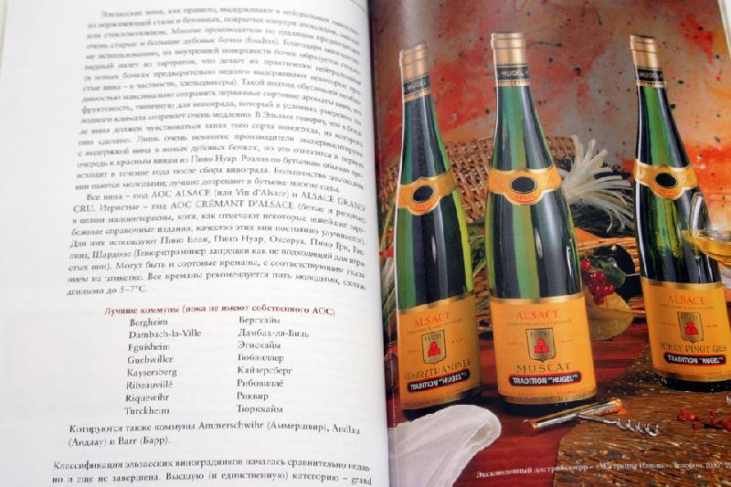 Иллюстрация 7 из 12 для Элитные вина Франции: Путеводитель - Юрий Зыбцев | Лабиринт - книги. Источник: Иванна
