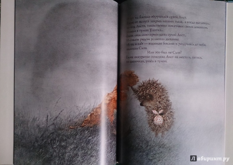 Иллюстрация 16 из 83 для Ежик в тумане - Козлов, Норштейн | Лабиринт - книги. Источник: Solen