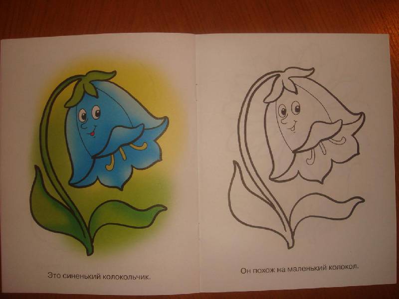 Иллюстрация 13 из 15 для Раскраска для малышей: Цветы. Синеглазый василек | Лабиринт - книги. Источник: Эмильсен