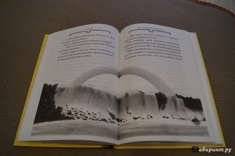 Иллюстрация 45 из 45 для Агата Мистери. Кража на Ниагарском водопаде - Стив Стивенсон | Лабиринт - книги. Источник: Антон