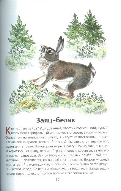 Иллюстрация 5 из 33 для Животные нашей страны - Владимир Храбрый | Лабиринт - книги. Источник: bel-k