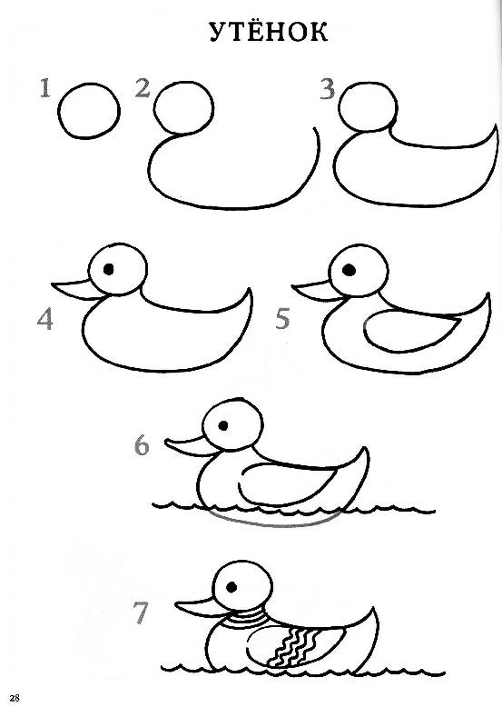 Иллюстрация 15 из 28 для Обучение рисованию. Рисуем животных | Лабиринт - книги. Источник: Росинка