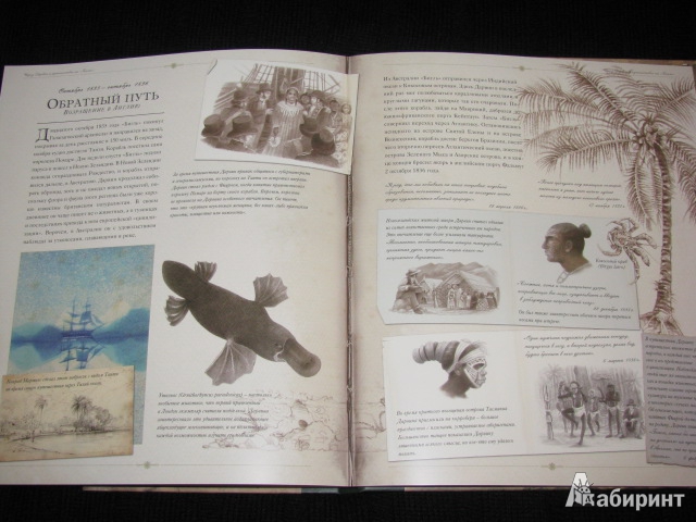 Иллюстрация 23 из 54 для Чарлз Дарвин и путешествие на "Бигле" - Твист, Вуд | Лабиринт - книги. Источник: Nemertona