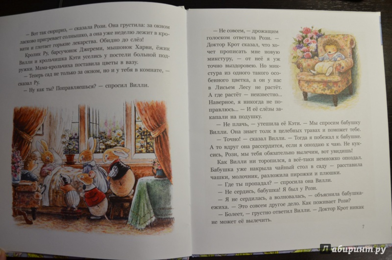 Иллюстрация 16 из 37 для Заколдованная долина - Патерсон, Патерсон | Лабиринт - книги. Источник: sweetness