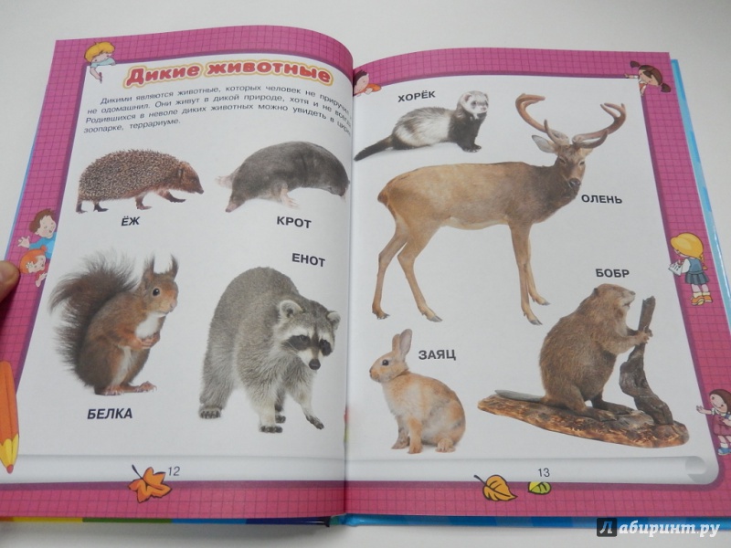 Иллюстрация 8 из 9 для Животные - Алена Бондарович | Лабиринт - книги. Источник: dbyyb