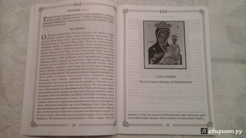 Иллюстрация 18 из 25 для Молитвы ко Пресвятой Богородице пред 45 чудотворными Ея иконами | Лабиринт - книги. Источник: Ксения  Ксения