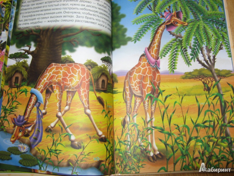 Иллюстрация 5 из 23 для Приключения Жирафчика и его друзей - Синичкин, Конфеткина | Лабиринт - книги. Источник: Лунный кот