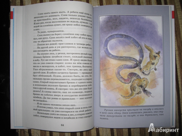 Иллюстрация 7 из 29 для Рассказы - Борис Житков | Лабиринт - книги. Источник: Белкина  Виктория
