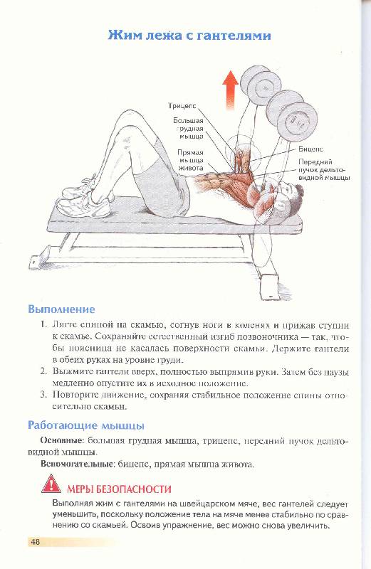 Иллюстрация 27 из 35 для Анатомия бега - Пулео, Милрой | Лабиринт - книги. Источник: Милада
