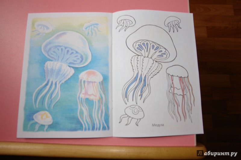 Иллюстрация 14 из 34 для Раскраска Жители морей | Лабиринт - книги. Источник: Маргарита