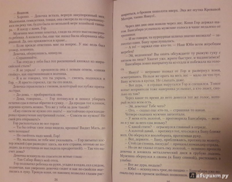 Иллюстрация 12 из 21 для Клинок Богини, гость и раб - Анастасия Машевская | Лабиринт - книги. Источник: Katty