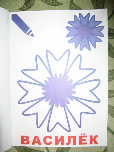 Иллюстрация 11 из 12 для Маленький художник:  Выпуск 11. Цветы | Лабиринт - книги. Источник: libe