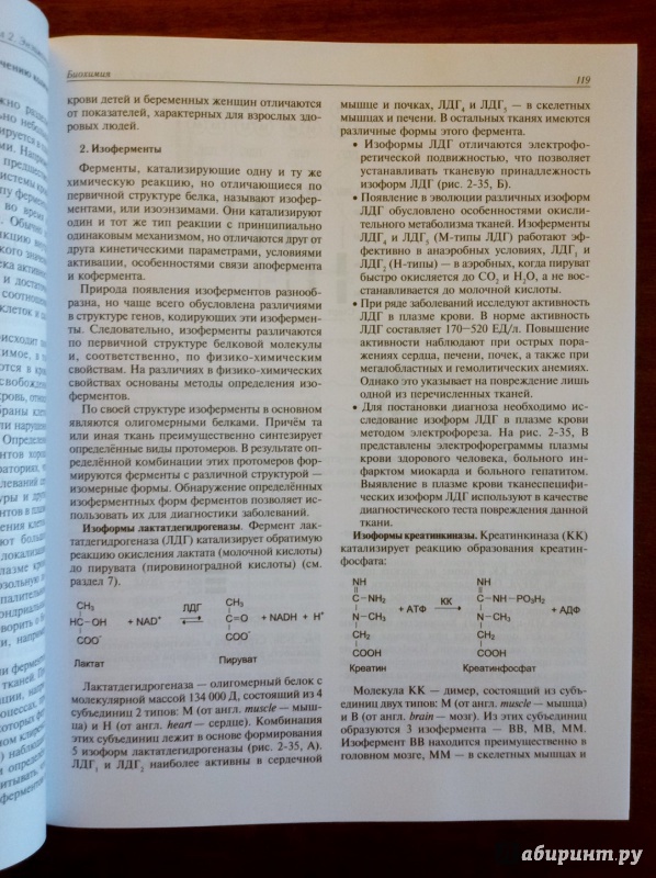 Иллюстрация 28 из 48 для Биохимия. Учебник - Авдеева, Алейникова, Андрианова | Лабиринт - книги. Источник: olegiv