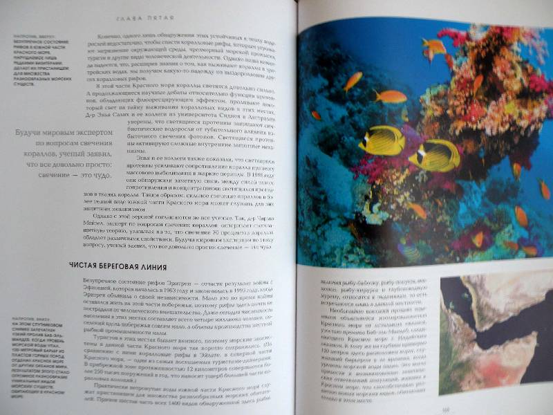 Иллюстрация 6 из 21 для Океаны. Тайны подводного мира - Роуз, Лейкинг | Лабиринт - книги. Источник: Виноградова Елена