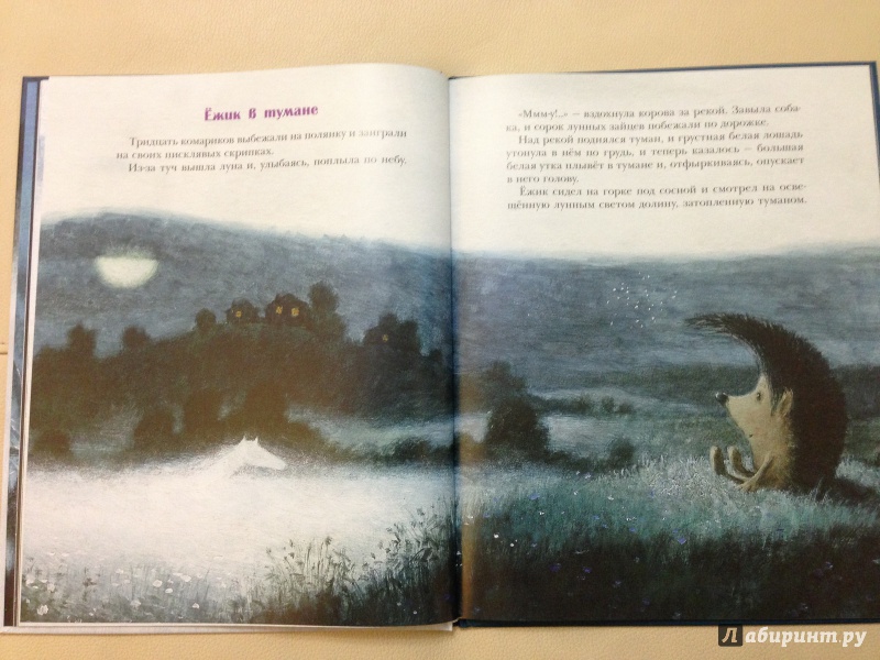 Иллюстрация 15 из 51 для Ёжик в тумане - Сергей Козлов | Лабиринт - книги. Источник: antonnnn