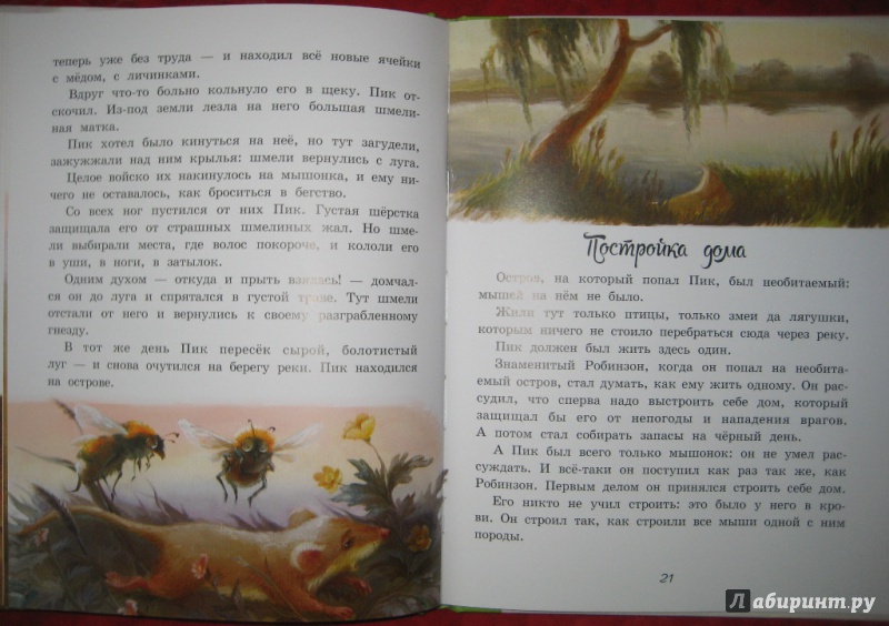 Иллюстрация 8 из 19 для Мышонок Пик - Виталий Бианки | Лабиринт - книги. Источник: Макарова  Елена