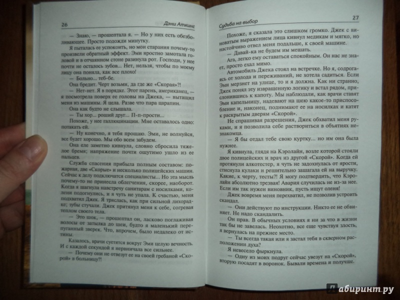 Иллюстрация 29 из 40 для Судьба на выбор - Дэни Аткинс | Лабиринт - книги. Источник: Kirill  Badulin