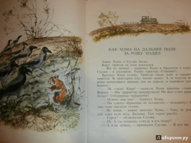 Иллюстрация 23 из 51 для Приключения Хомы - Альберт Иванов | Лабиринт - книги. Источник: Tiger.