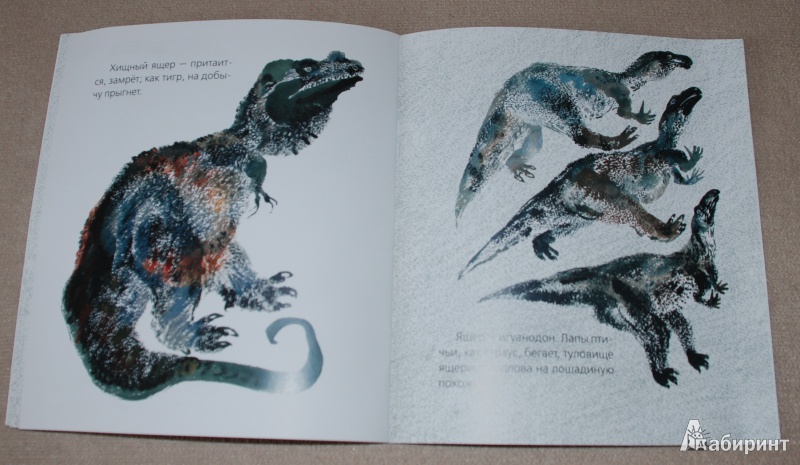 Иллюстрация 9 из 30 для Невиданные звери - Никита Чарушин | Лабиринт - книги. Источник: Книжный кот