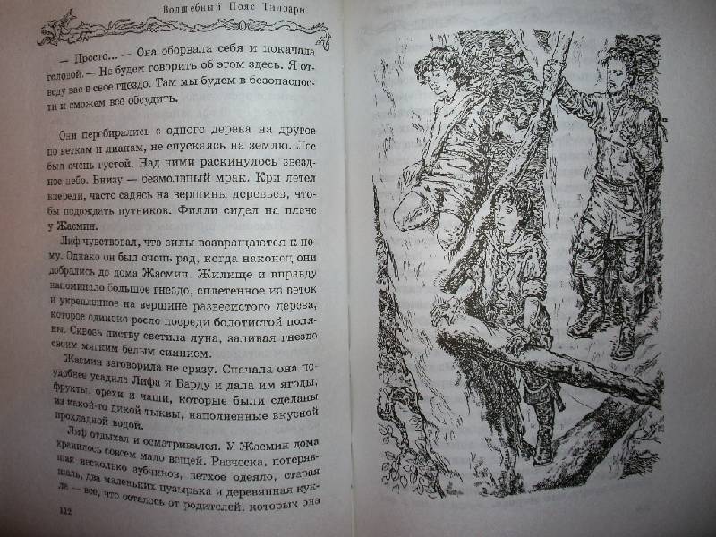 Иллюстрация 8 из 9 для Лес Безмолвия: Повести - Эмили Родда | Лабиринт - книги. Источник: Tiger.