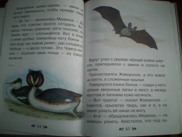 Иллюстрация 9 из 40 для Сказки и рассказы о животных - Виталий Бианки | Лабиринт - книги. Источник: С  М В