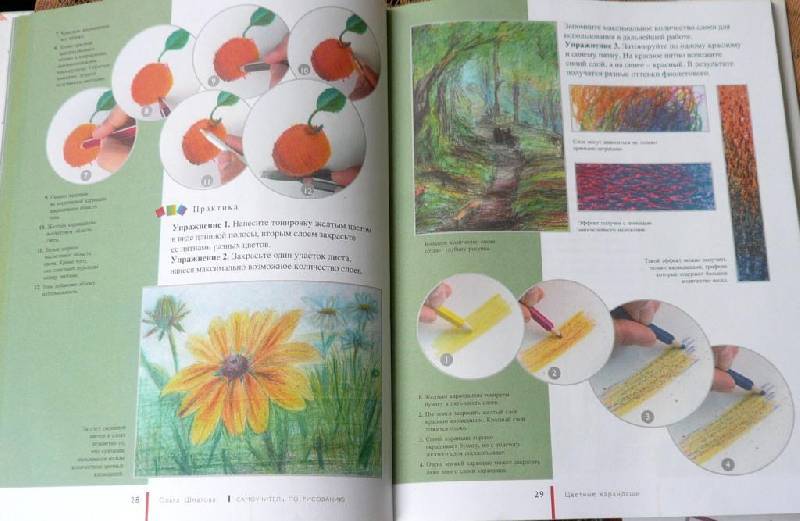 Иллюстрация 45 из 50 для Самоучитель по рисованию фломастерами и цветными карандашами для детей и взрослых - Ольга Шматова | Лабиринт - книги. Источник: Maryandbaby