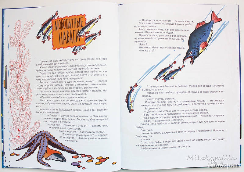 Иллюстрация 25 из 51 для Морские сказки - Святослав Сахарнов | Лабиринт - книги. Источник: Букландия