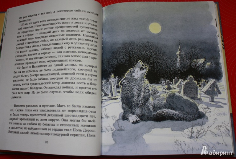 Иллюстрация 25 из 45 для Медвежонок Джонни - Эрнест Сетон-Томпсон | Лабиринт - книги. Источник: КНИЖНОЕ ДЕТСТВО