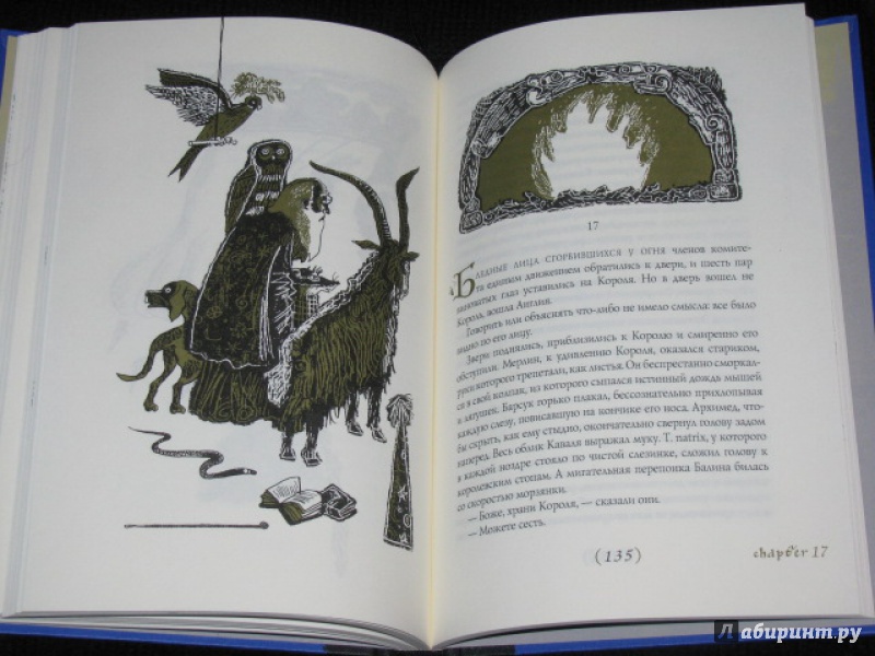 Иллюстрация 32 из 36 для Король былого и грядущего. Книга Мерлина - Теренс Уайт | Лабиринт - книги. Источник: Nemertona