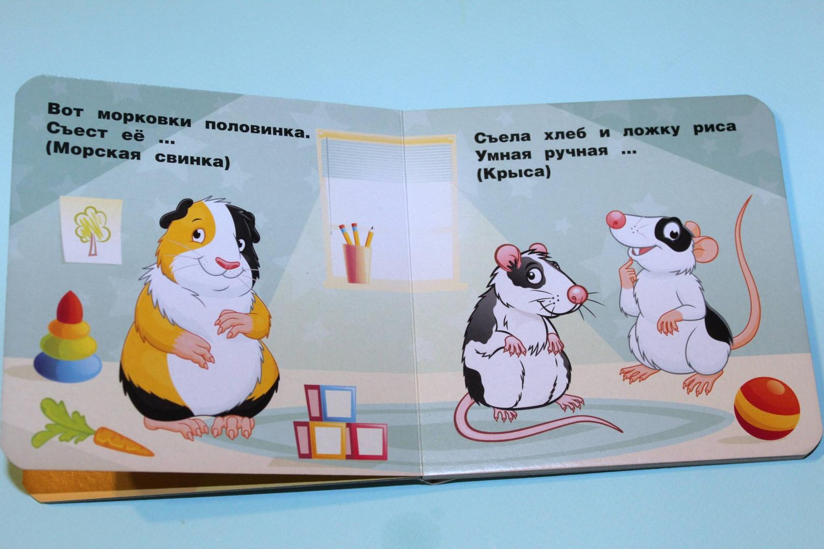 Иллюстрация 14 из 17 для Домашние животные - Анна Игнатова | Лабиринт - книги. Источник: Katerina