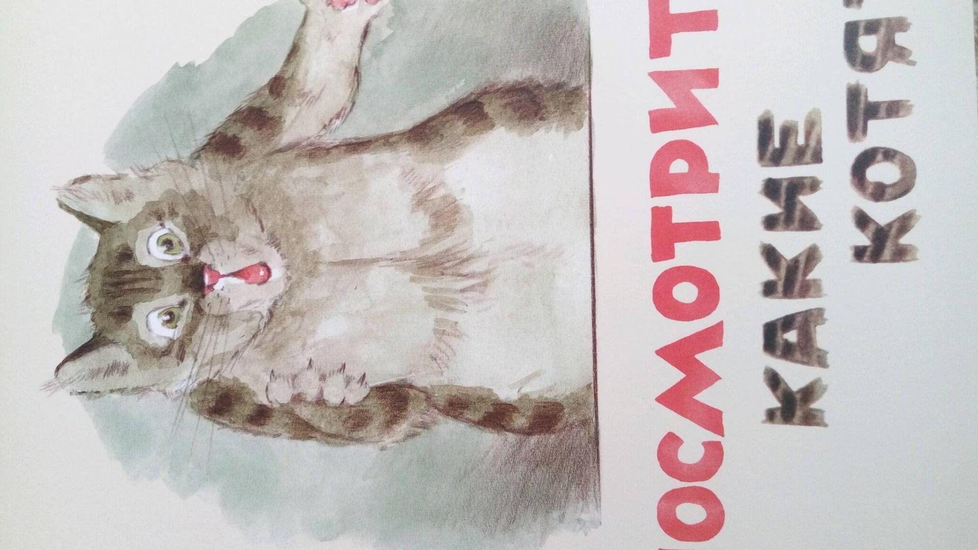 Иллюстрация 58 из 64 для Посмотрите какие котята - Владимир Матвеев | Лабиринт - книги. Источник: Ерачина Светлана