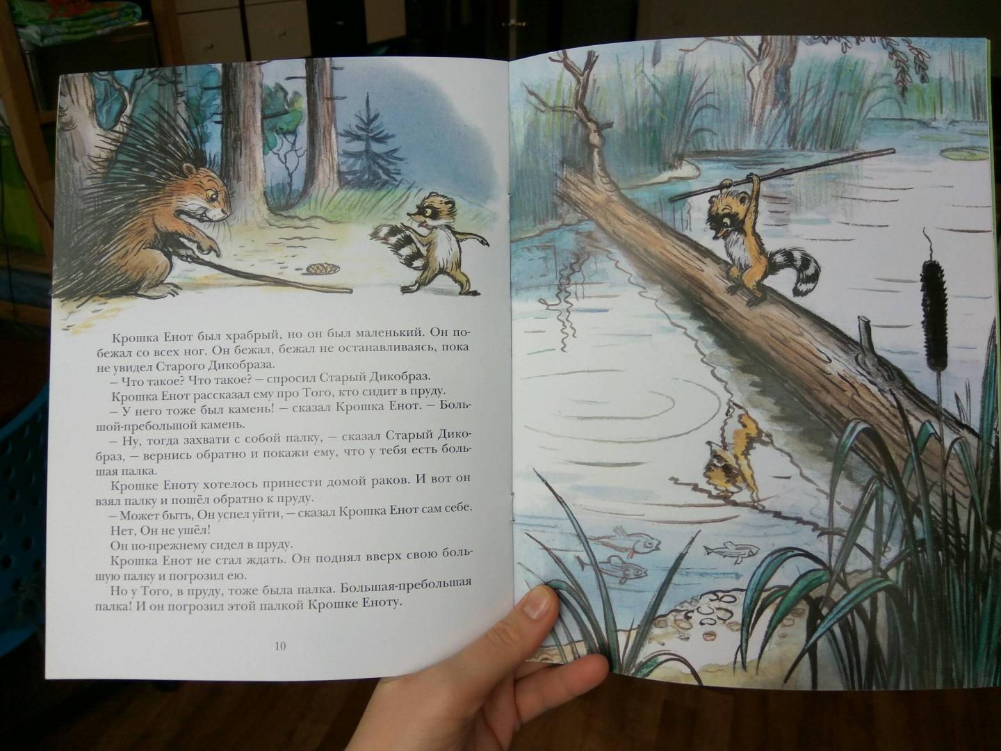 Иллюстрация 84 из 97 для Крошка Енот и тот, кто сидит в пруду - Лилиан Муур | Лабиринт - книги. Источник: Кулаковская Наталья
