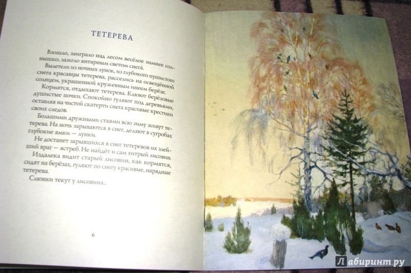 Иллюстрация 27 из 64 для Зима в лесу - Иван Соколов-Микитов | Лабиринт - книги. Источник: Бог в помощь
