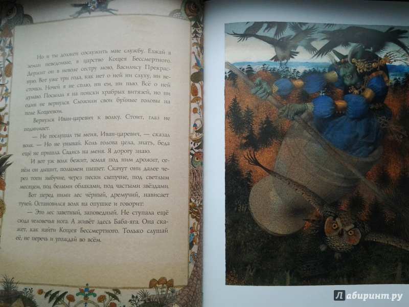 Иллюстрация 20 из 27 для Сказки жар-птицы | Лабиринт - книги. Источник: Olga
