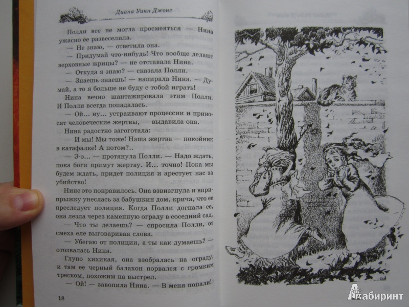 Иллюстрация 29 из 36 для Рыцарь на золотом коне - Диана Джонс | Лабиринт - книги. Источник: dragonspy