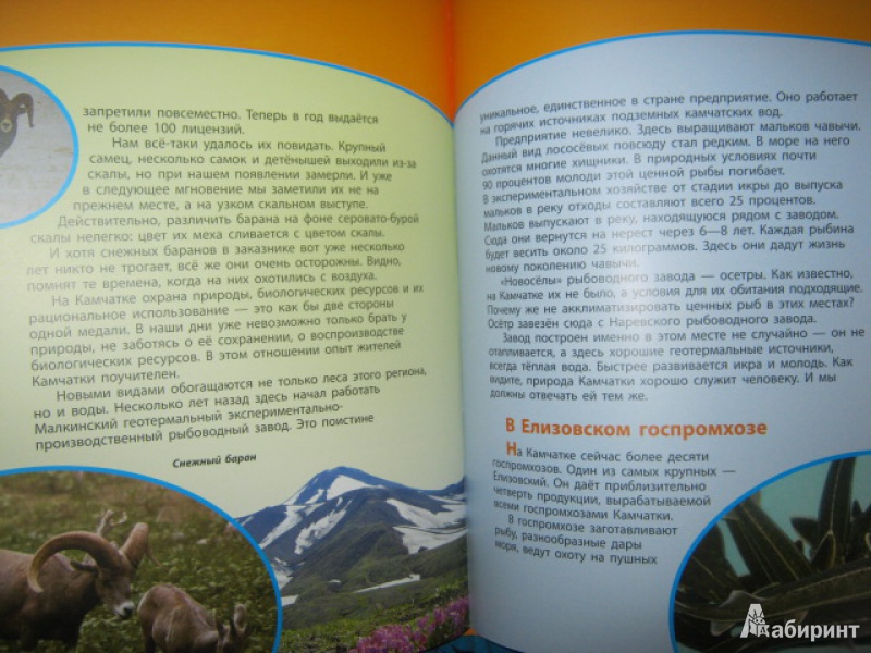 Иллюстрация 7 из 11 для Охрана природы - Дроздов, Макеев | Лабиринт - книги. Источник: Евгения39