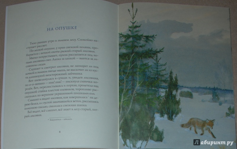 Иллюстрация 42 из 64 для Зима в лесу - Иван Соколов-Микитов | Лабиринт - книги. Источник: Книжный кот